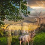 University of Benin student at Post-UTME CBT 2026