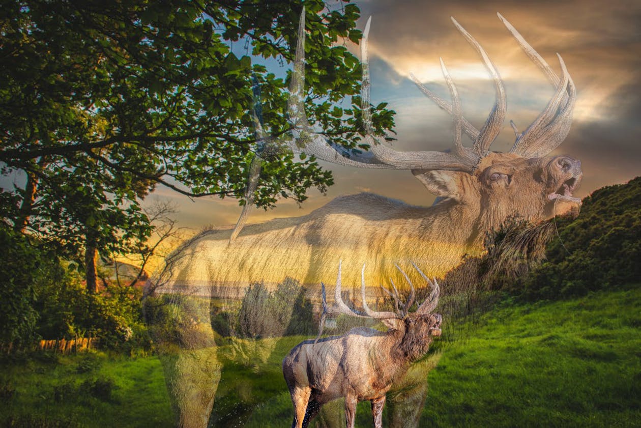 University of Benin student at Post-UTME CBT 2026